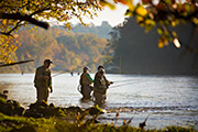 Fisherman casting their reels on the shore of Lake Taneycomo